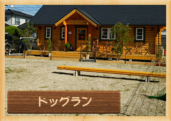 ドッグラン